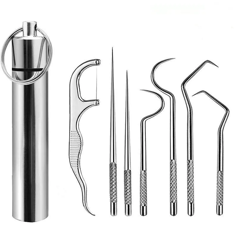 Pocket Size Stainless Steel Toothpick & Dental Cleaning Set (7 pcs)